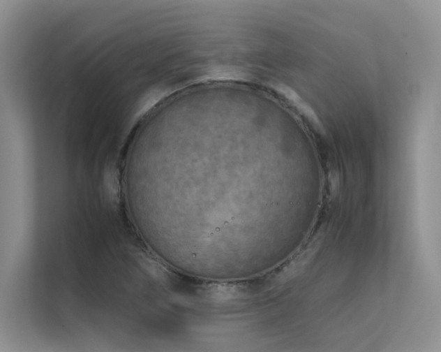 X0000111631266200907171519