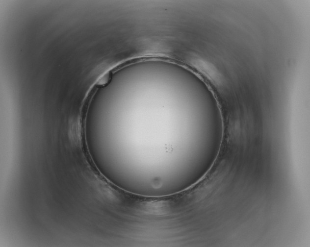 X0000111631268200907171519