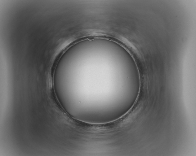 X0000111631269200907171519