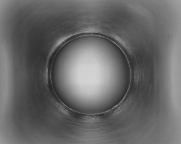 X0000111631270200907171519
