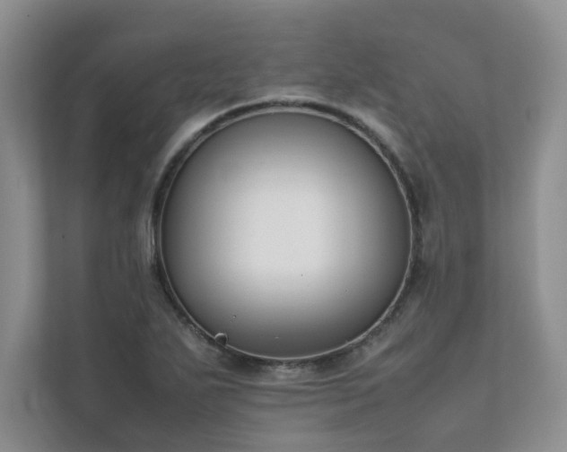 X0000111631271200907171519