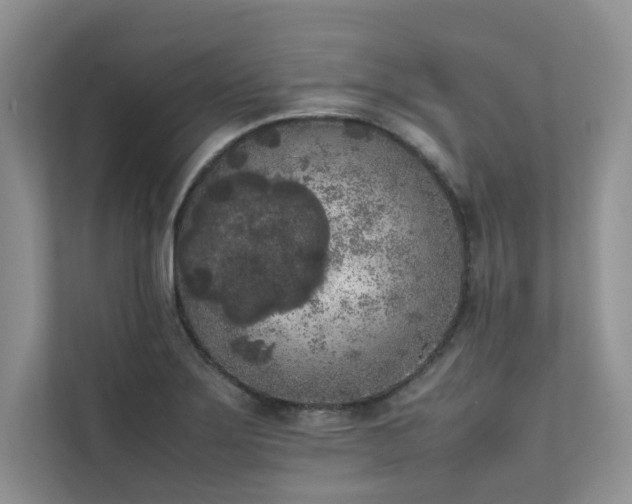 X0000111631275200907171519