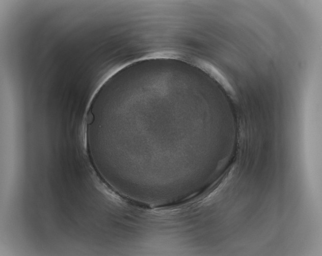 X0000111631276200907171519