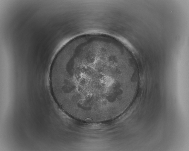 X0000111631279200907171519