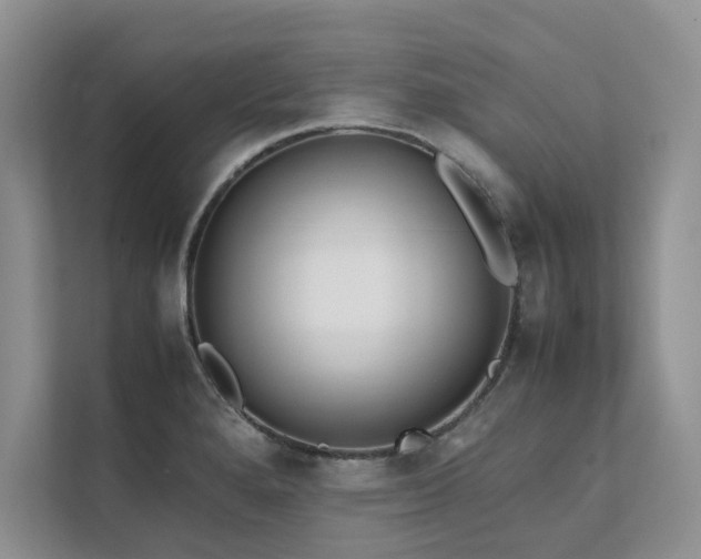X0000111631280200907171519