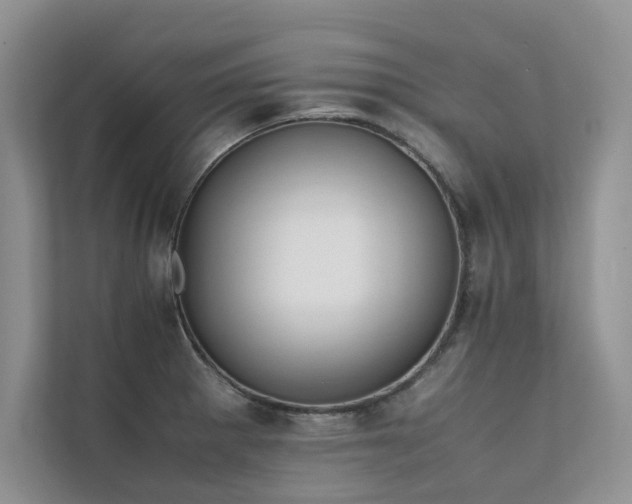 X0000111631281200907171519