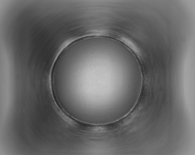 X0000111631283200907171519