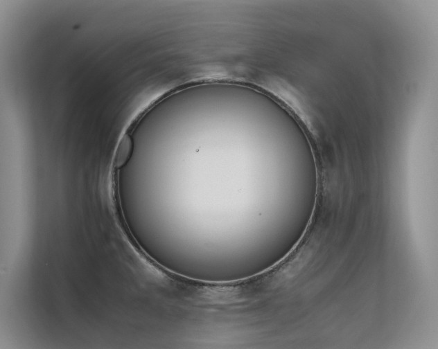 X0000111631285200907171519