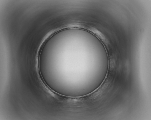 X0000111631286200907171519