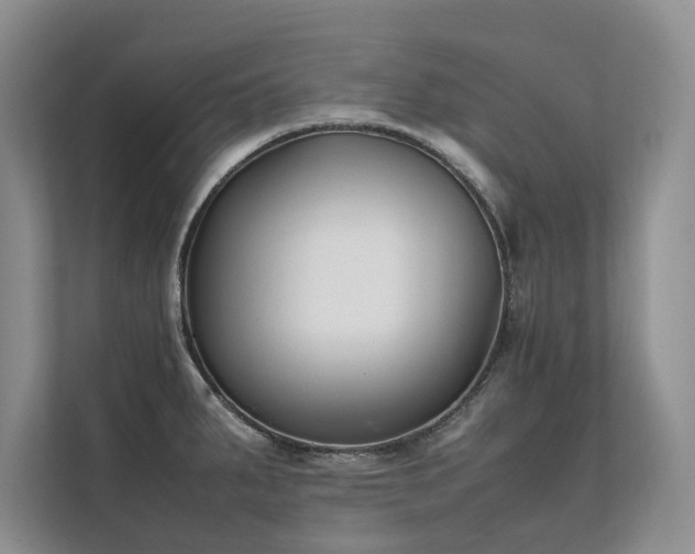 X0000111631287200907171519