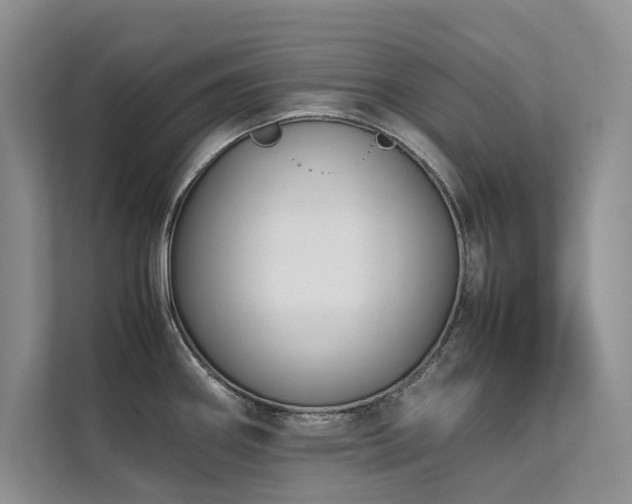 X0000111631290200907171519