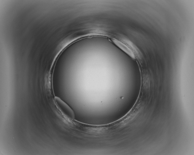 X0000111631292200907171519