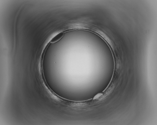 X0000111631293200907171519