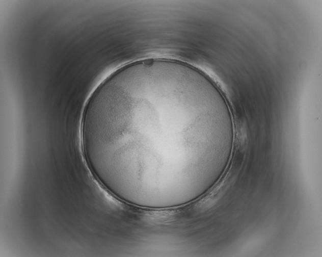 X0000111631294200907171519