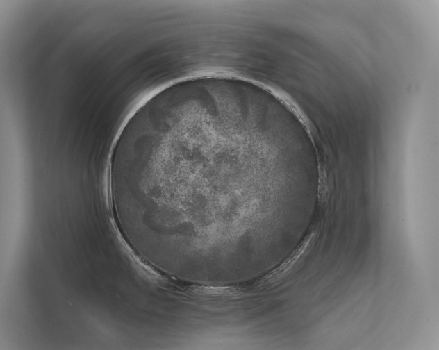 X0000111631295200907171519