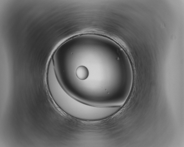 X0000111631296200907171519