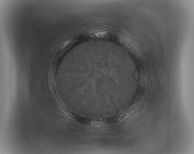 X0000111631297200907171518