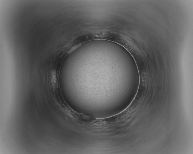 X0000111631298200907171518