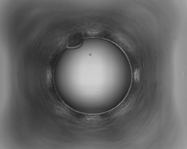 X0000111631299200907171518