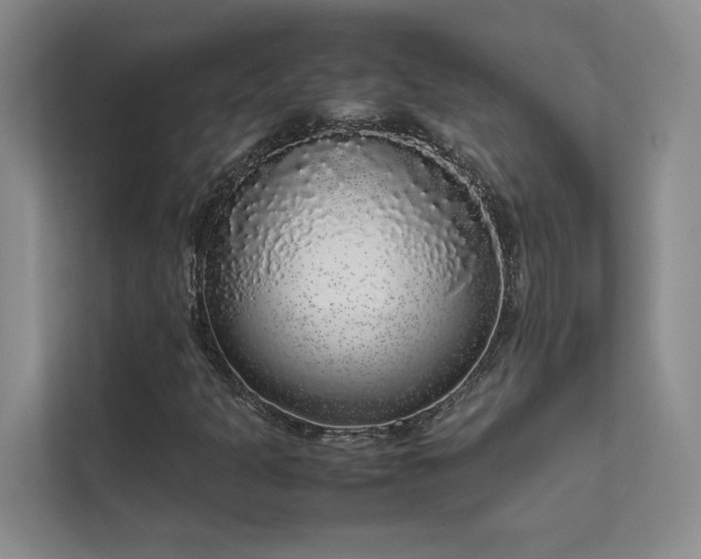 X0000111631301200907171518