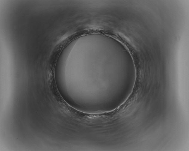 X0000111631303200907171518