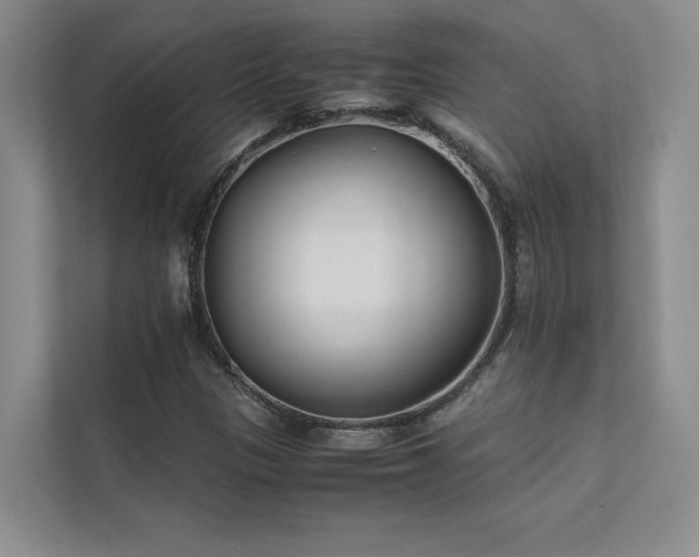 X0000111631305200907171518