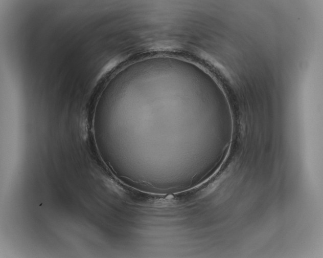 X0000111631306200907171518