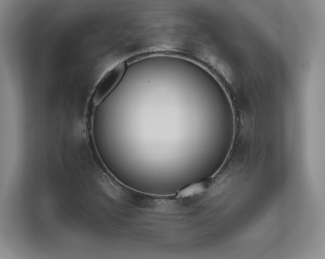 X0000111631308200907171519