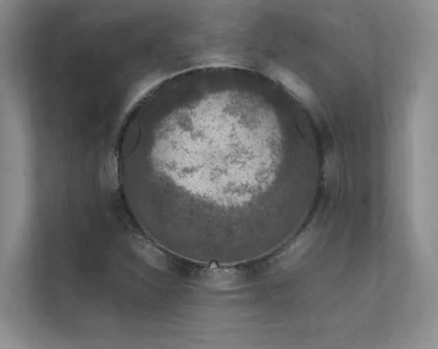 X0000111631310200907171519