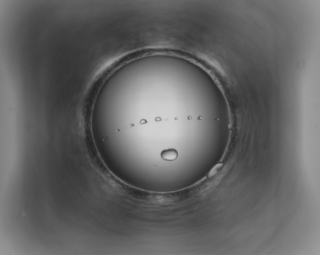 X0000111631311200907171519