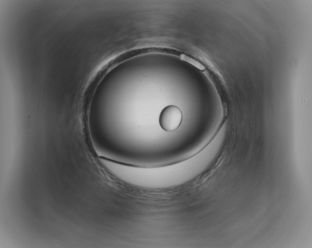 X0000111631312200907171519