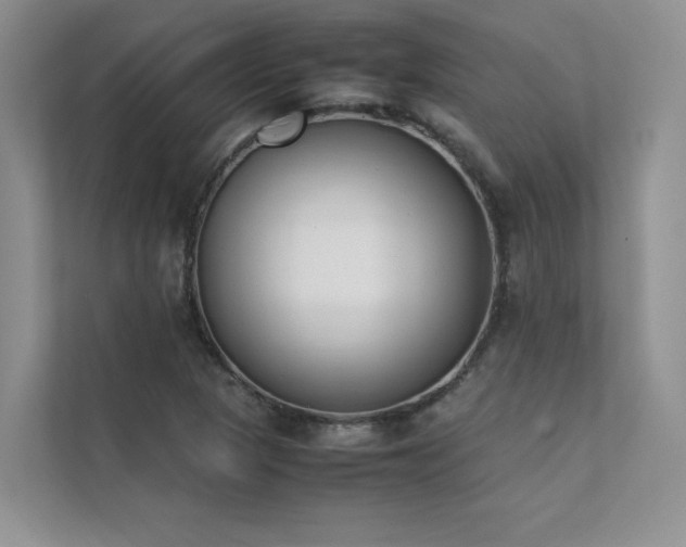 X0000111631313200907171519