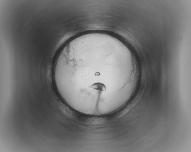X0000111631314200907171519