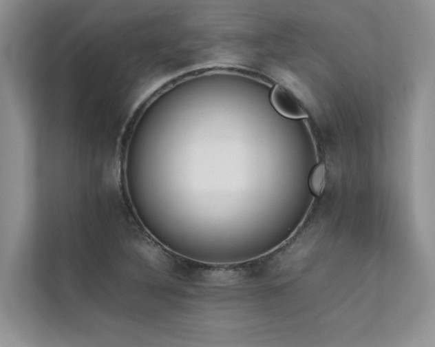 X0000111631316200907171519