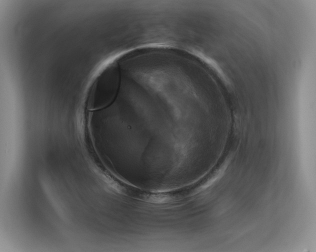X0000111631319200907171519