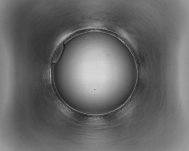 X0000111631320200907171519