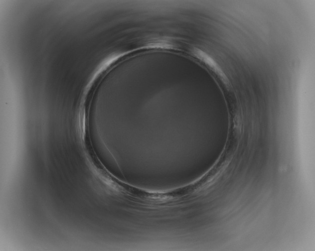 X0000111631323200907171519