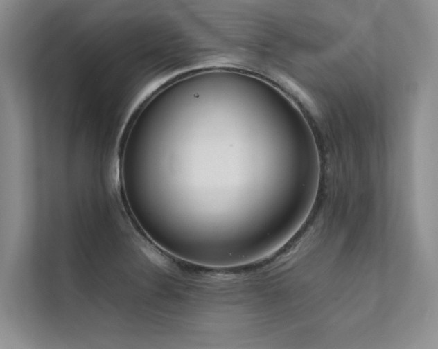 X0000111631324200907171519
