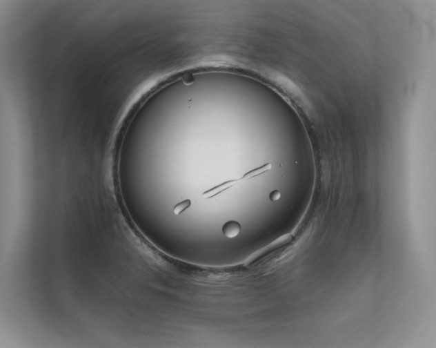 X0000111631326200907171519