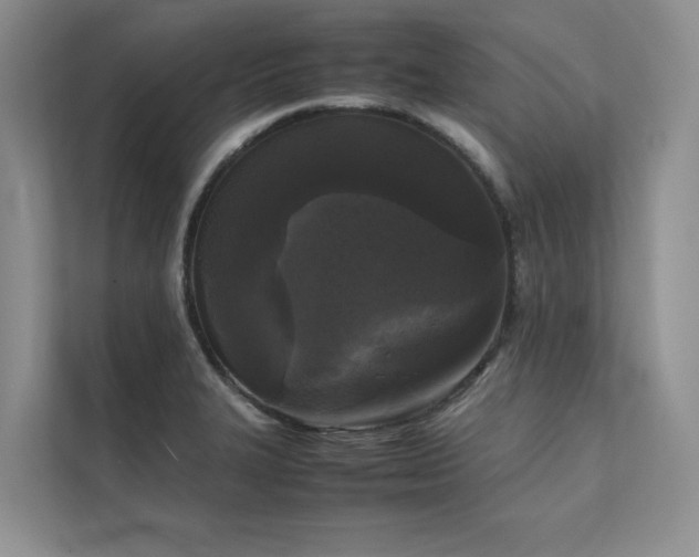 X0000111631327200907171519
