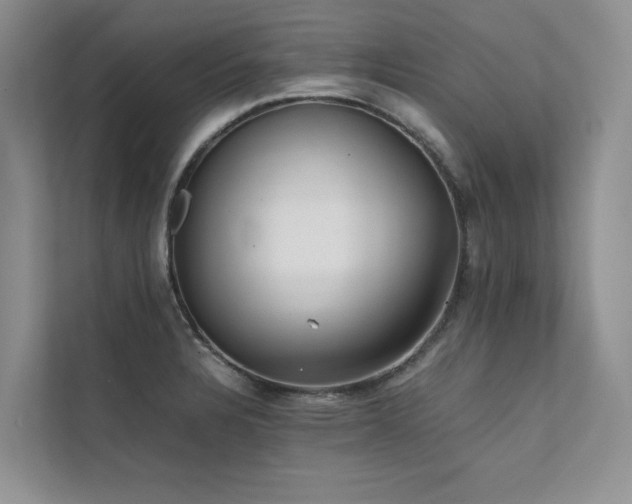 X0000111631328200907171519