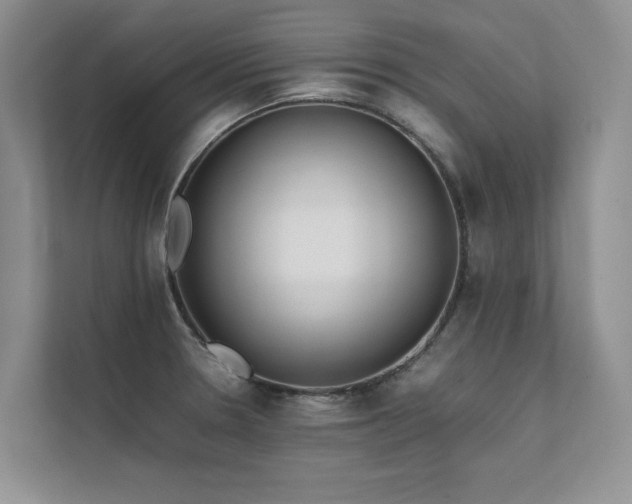 X0000111631330200907171519