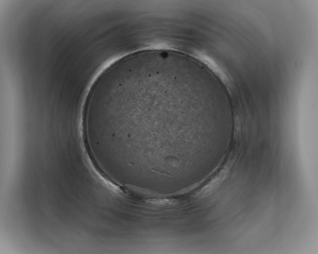 X0000111631331200907171519
