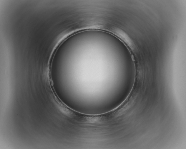 X0000111631332200907171519