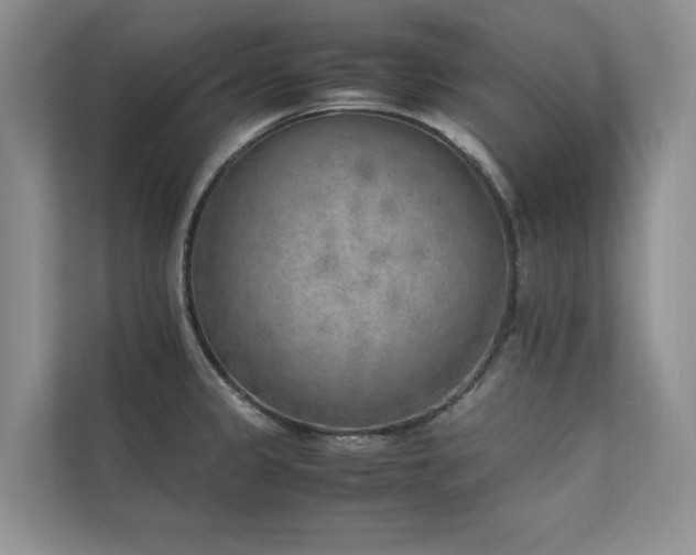 X0000111631333200907171519