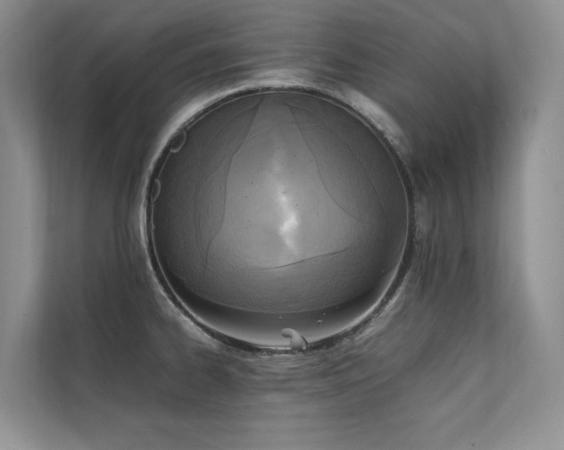 X0000111631334200907171519