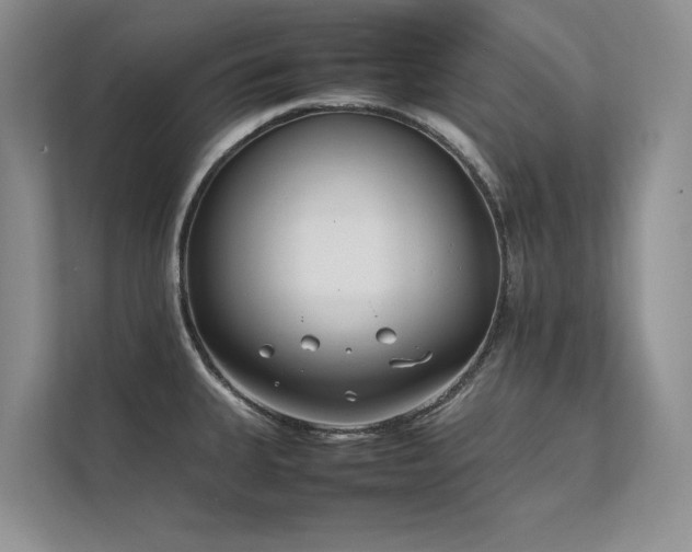 X0000111631335200907171519