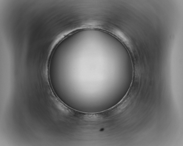 X0000111631336200907171519