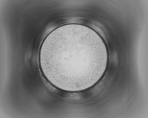 X0000111631338200907171519