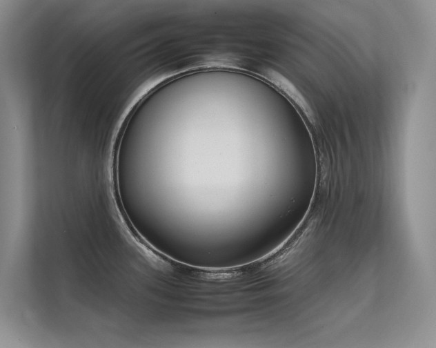 X0000111631339200907171519